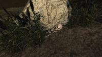 Шок! Скриншоты всех известных пасхалок в World of Tanks! Шок! Скриншоты всех известных пасхалок в World of Tanks! Юмор