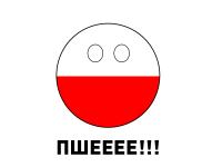 Польский экипаж, эмблемы и надписи Польский экипаж, эмблемы и надписи Новости