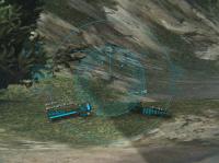 Набор прицелов Deegie’s Sights для WoT Набор прицелов Deegie’s Sights для WoT Прицелы