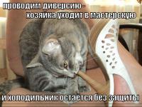 Расширение возможностей для "Мировой войны" WoT Расширение возможностей для "Мировой войны" WoT Новости